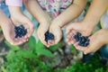 Freshly picked wild blueberries in childrenÃ¢â¬â¢s hands Royalty Free Stock Photo